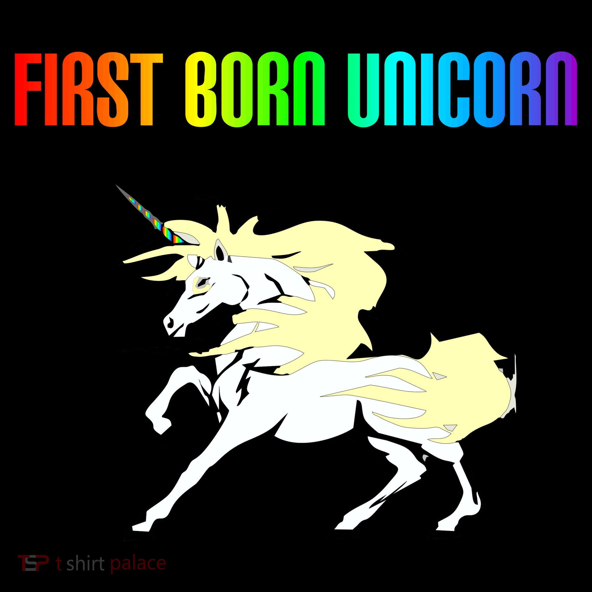 First Born Unicorn Kids Long Sleeve Shirt