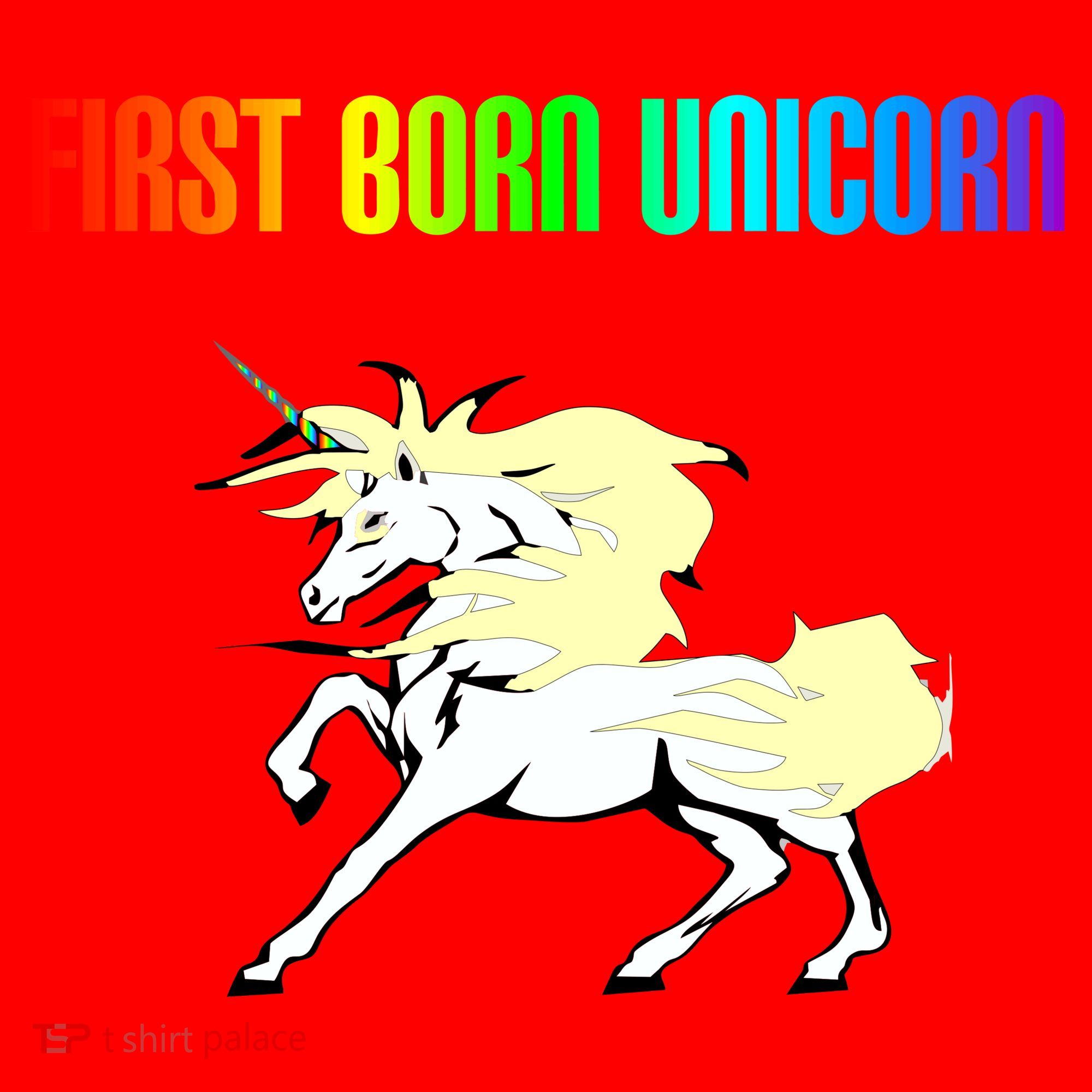 First Born Unicorn Santa Hat