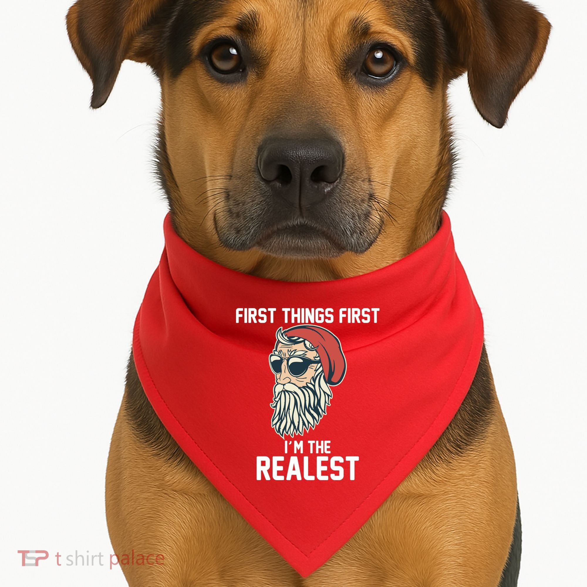 First Things First I'm the Realest Cool Santa USA-Made Doggie Bandana