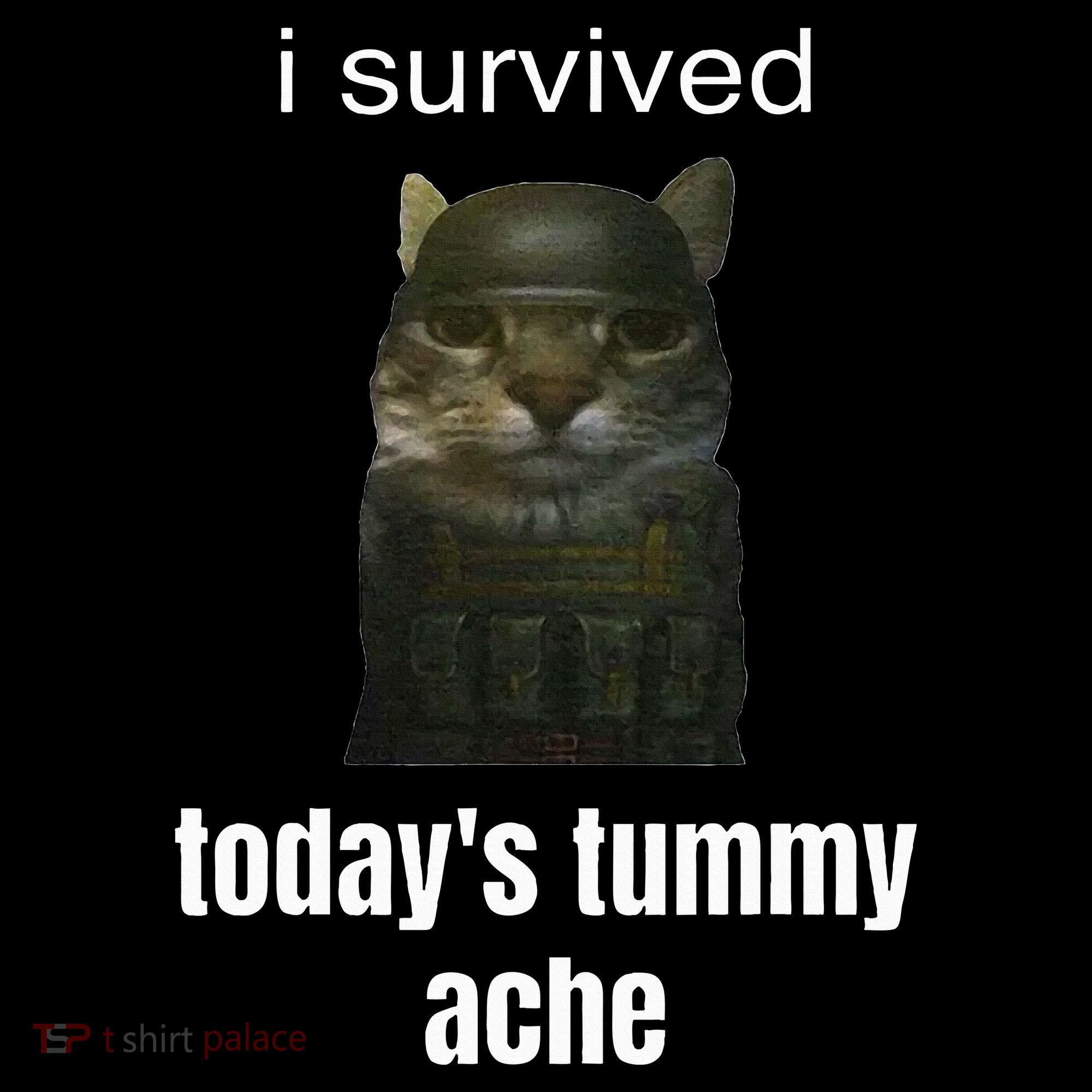 Funny I Survived TodayS Tummy Ache Bucket Hat