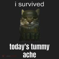 Funny I Survived TodayS Tummy Ache Beanie thumb 2