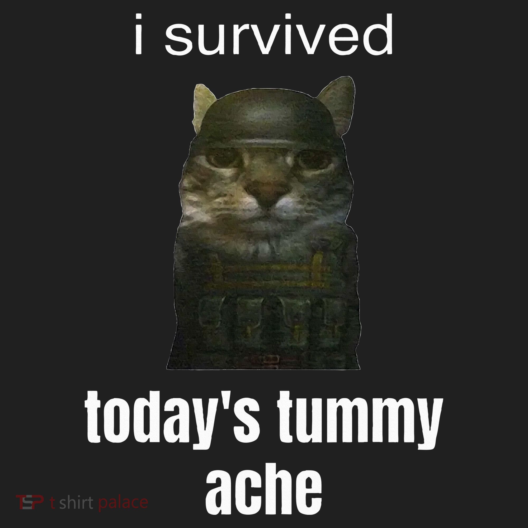 Funny I Survived TodayS Tummy Ache Beanie