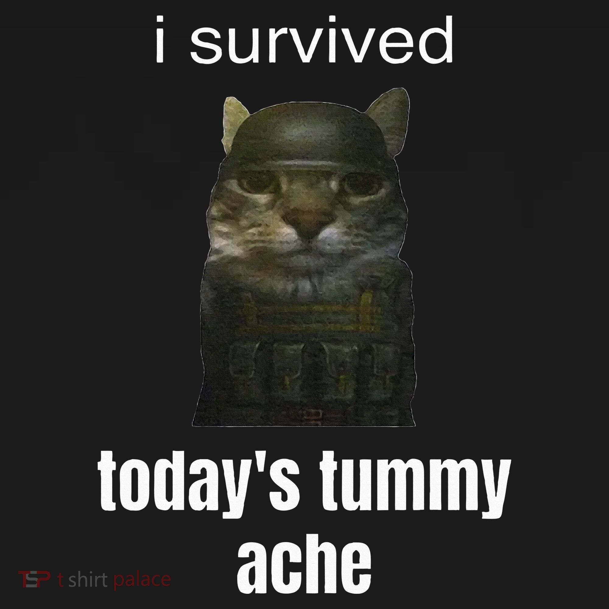 Funny I Survived TodayS Tummy Ache Pajama Set