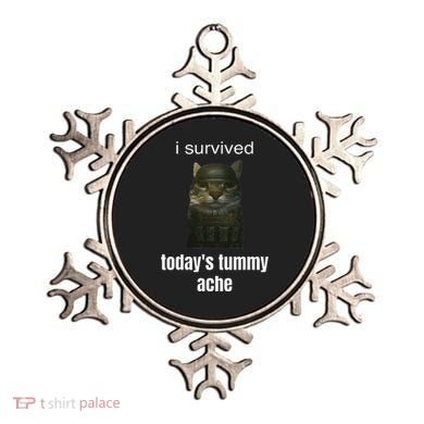 Funny I Survived TodayS Tummy Ache Ornament