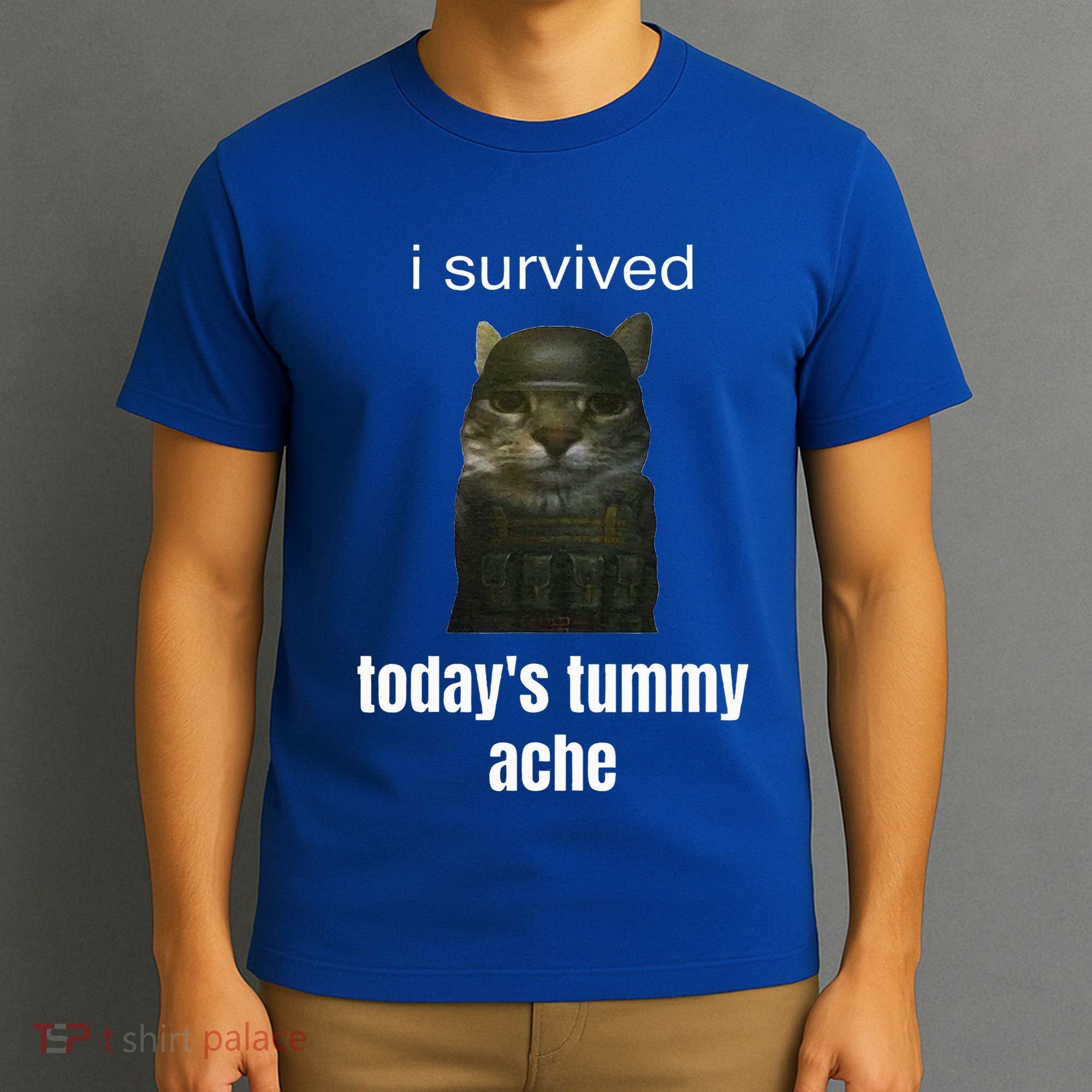 Funny I Survived TodayS Tummy Ache T-Shirt