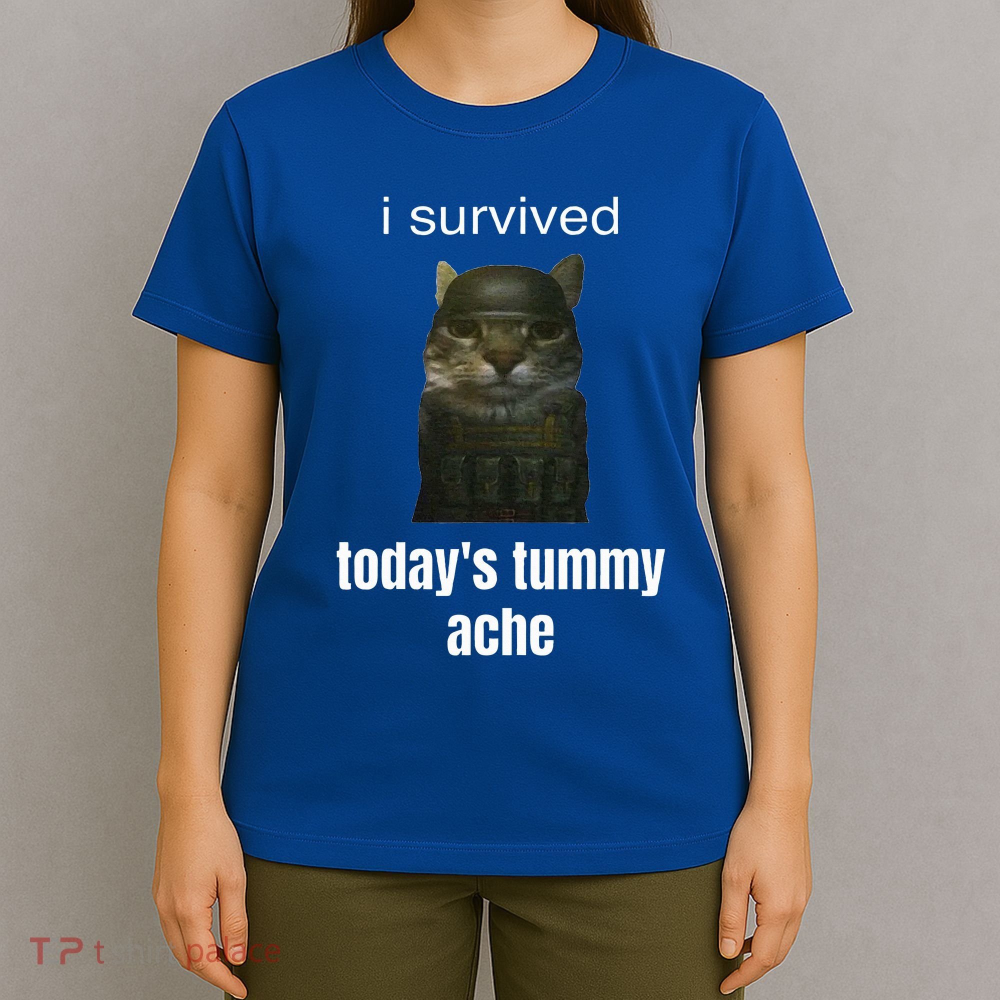 Funny I Survived TodayS Tummy Ache T-Shirt