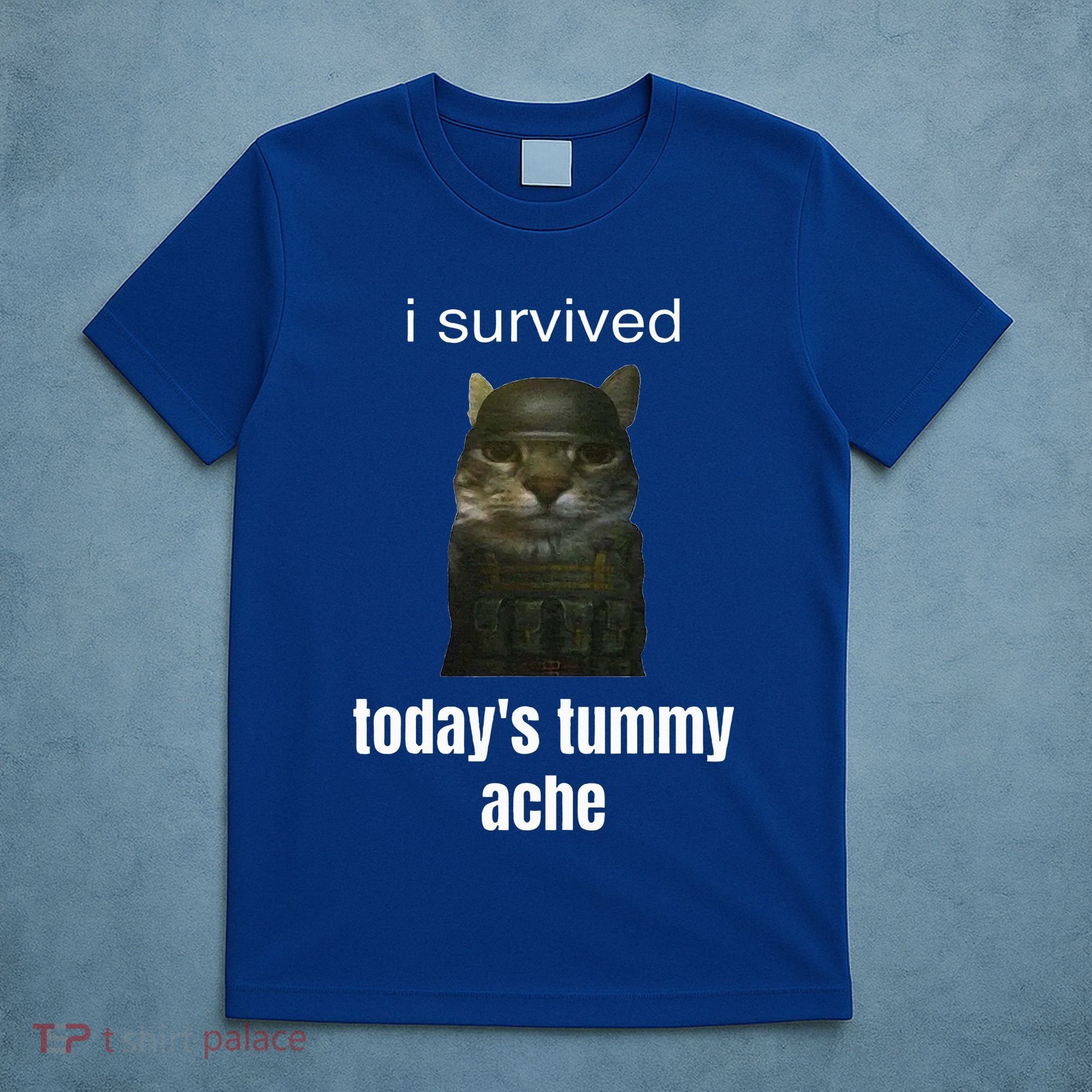 Funny I Survived TodayS Tummy Ache T-Shirt