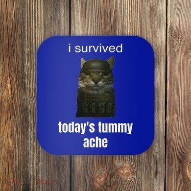 Funny I Survived TodayS Tummy Ache Coaster