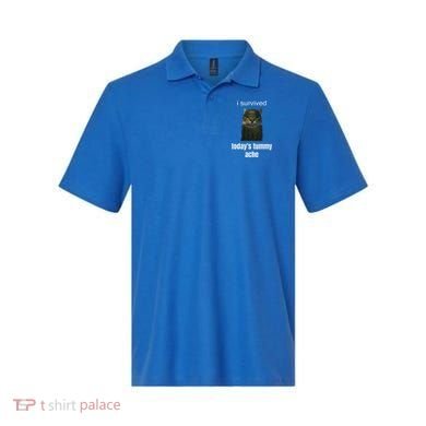 Funny I Survived TodayS Tummy Ache Polo