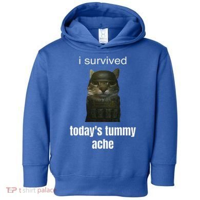 Funny I Survived TodayS Tummy Ache Toddler Hoodie