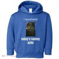 Funny I Survived TodayS Tummy Ache Toddler Hoodie thumb 0