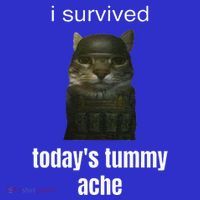 Funny I Survived TodayS Tummy Ache Tank Top thumb 6