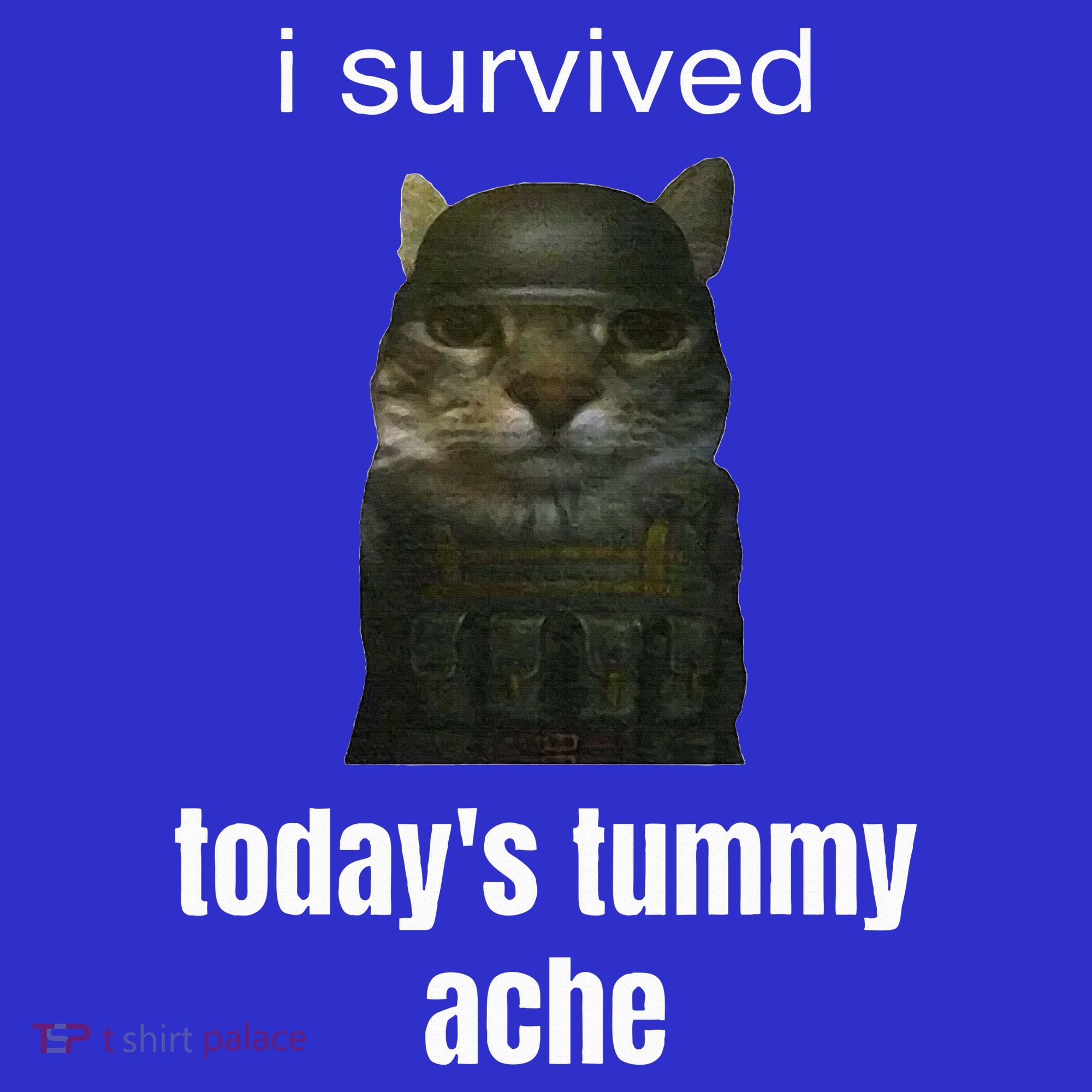 Funny I Survived TodayS Tummy Ache Toddler T-Shirt