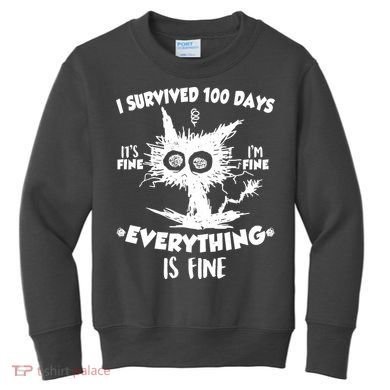 Funny I Survived 100 Days It's Fine I'm Fine Everything Is Fine Kids Sweatshirt