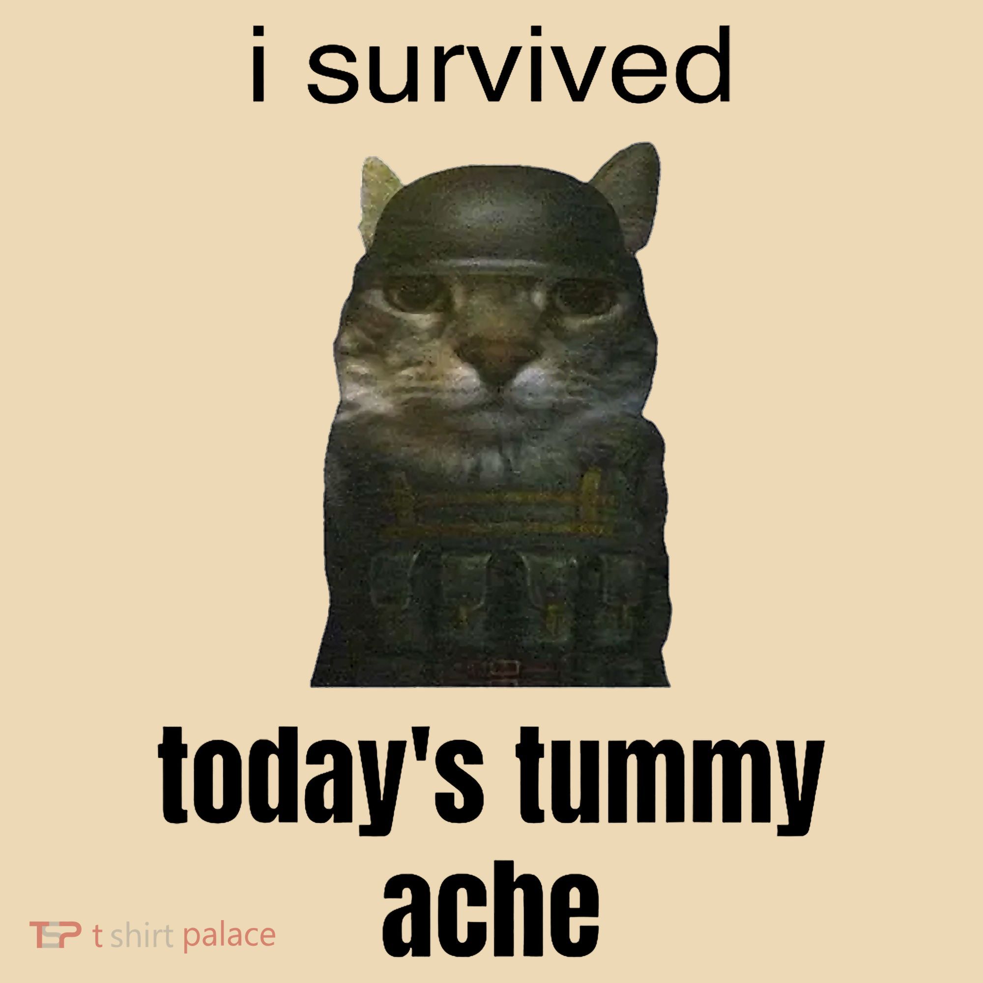 Funny I Survived TodayS Tummy Ache Tote Bag
