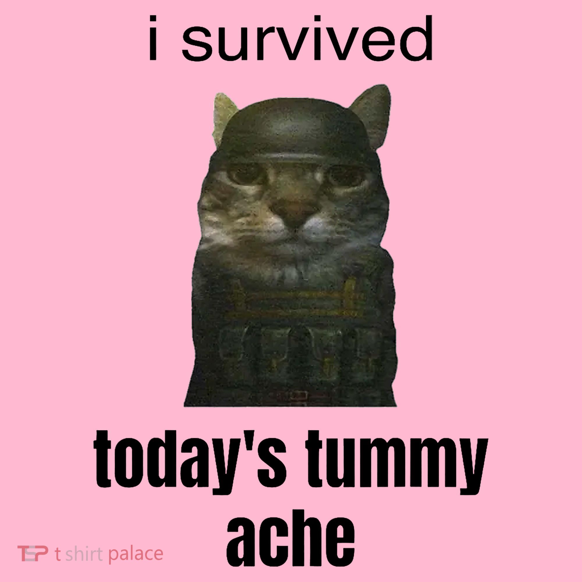 Funny I Survived TodayS Tummy Ache Coaster
