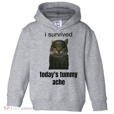 Funny I Survived TodayS Tummy Ache Toddler Hoodie