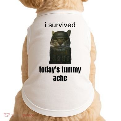 Funny I Survived TodayS Tummy Ache Doggie Tank