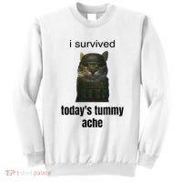 Funny I Survived TodayS Tummy Ache Sweatshirt thumb 0