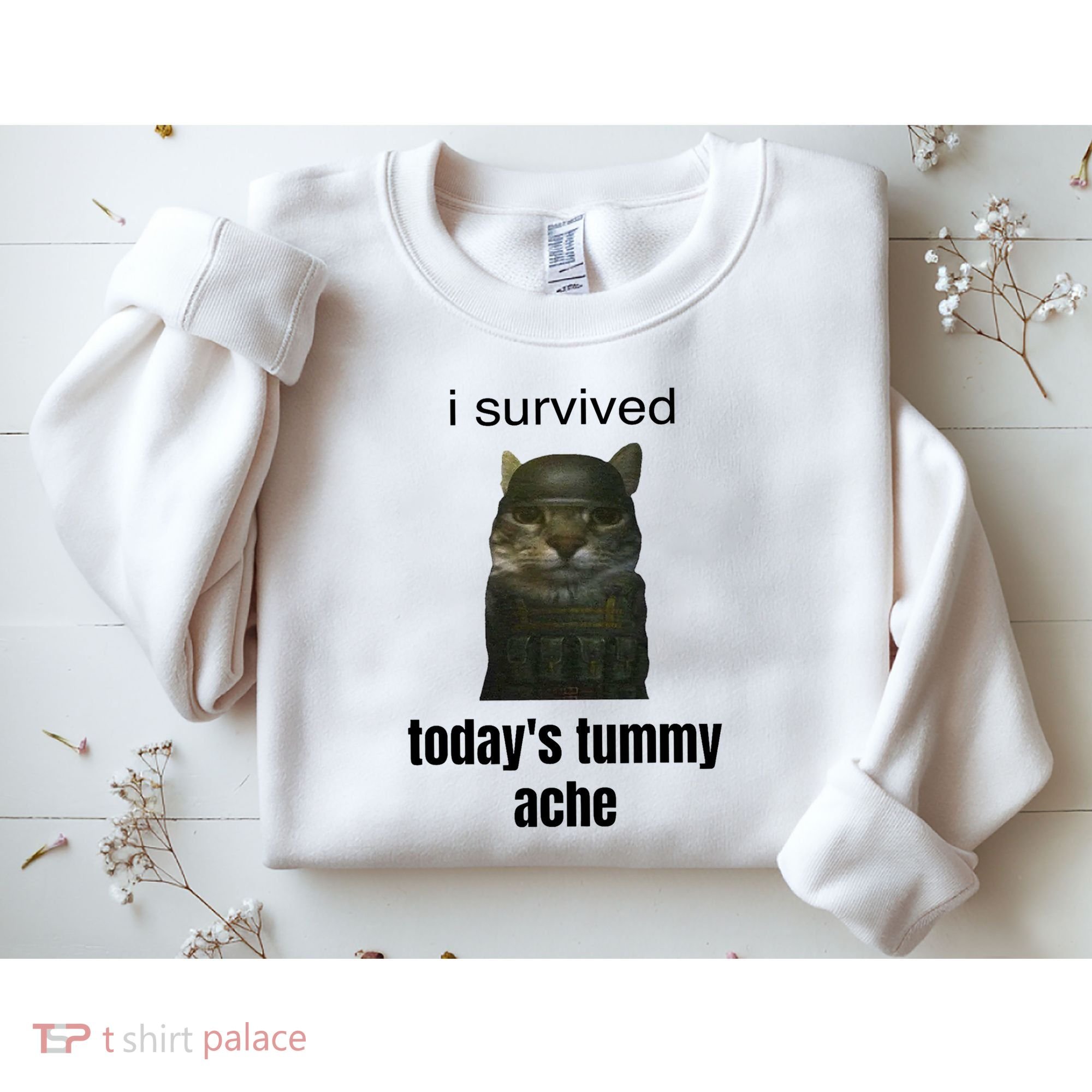 Funny I Survived TodayS Tummy Ache Sweatshirt