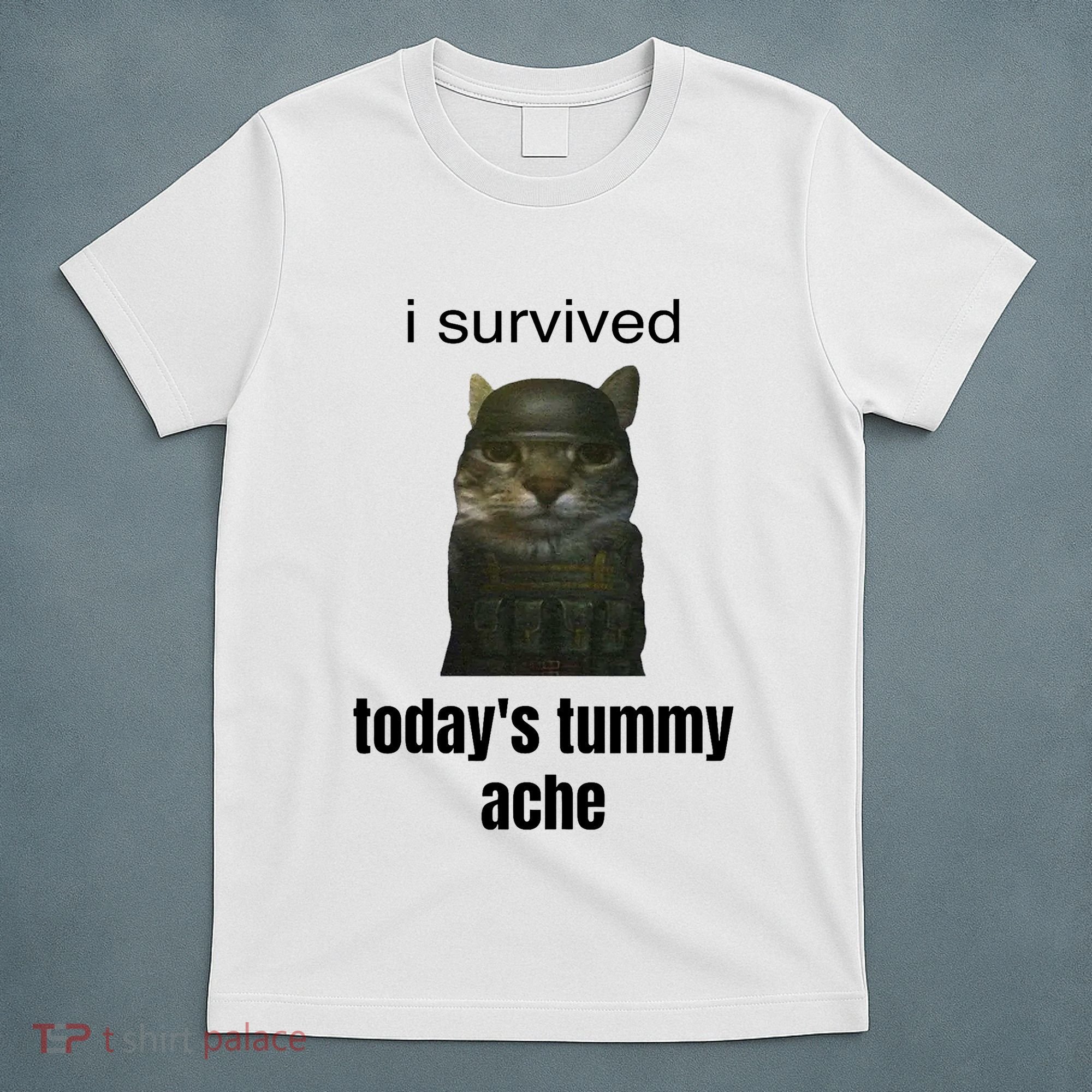 Funny I Survived TodayS Tummy Ache T-Shirt