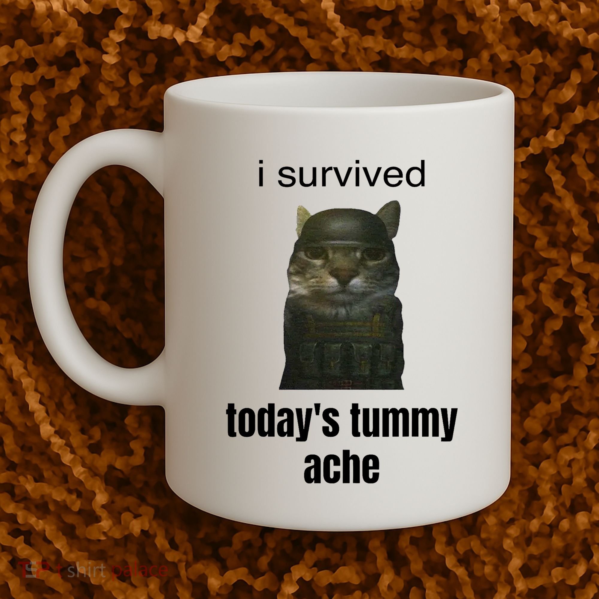 Funny I Survived TodayS Tummy Ache Coffee Mug