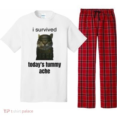 Funny I Survived TodayS Tummy Ache Pajama Set