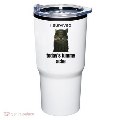 Funny I Survived TodayS Tummy Ache Tumbler
