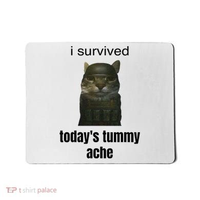Funny I Survived TodayS Tummy Ache Mousepad