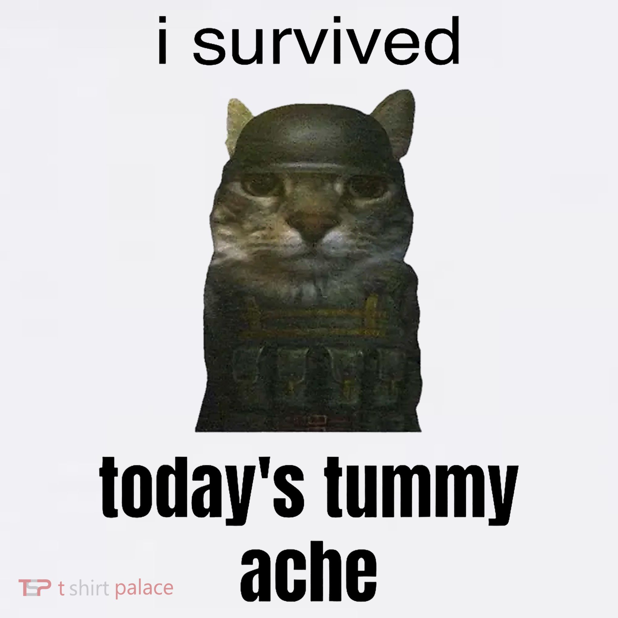 Funny I Survived TodayS Tummy Ache Mousepad