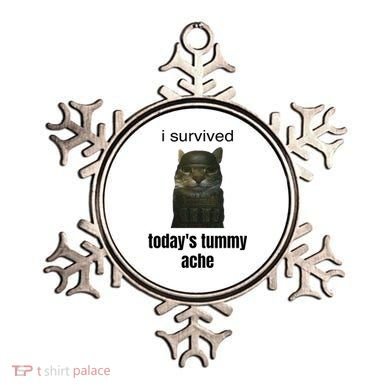 Funny I Survived TodayS Tummy Ache Ornament