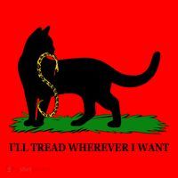 Funny Ill Tread Wherever I Want Cat Vs Tread On Me Snake Santa Hat thumb 1