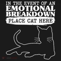 Funny In The Event Of An Emotional Breakdown Place Cat Here Women's Hoodie thumb 2
