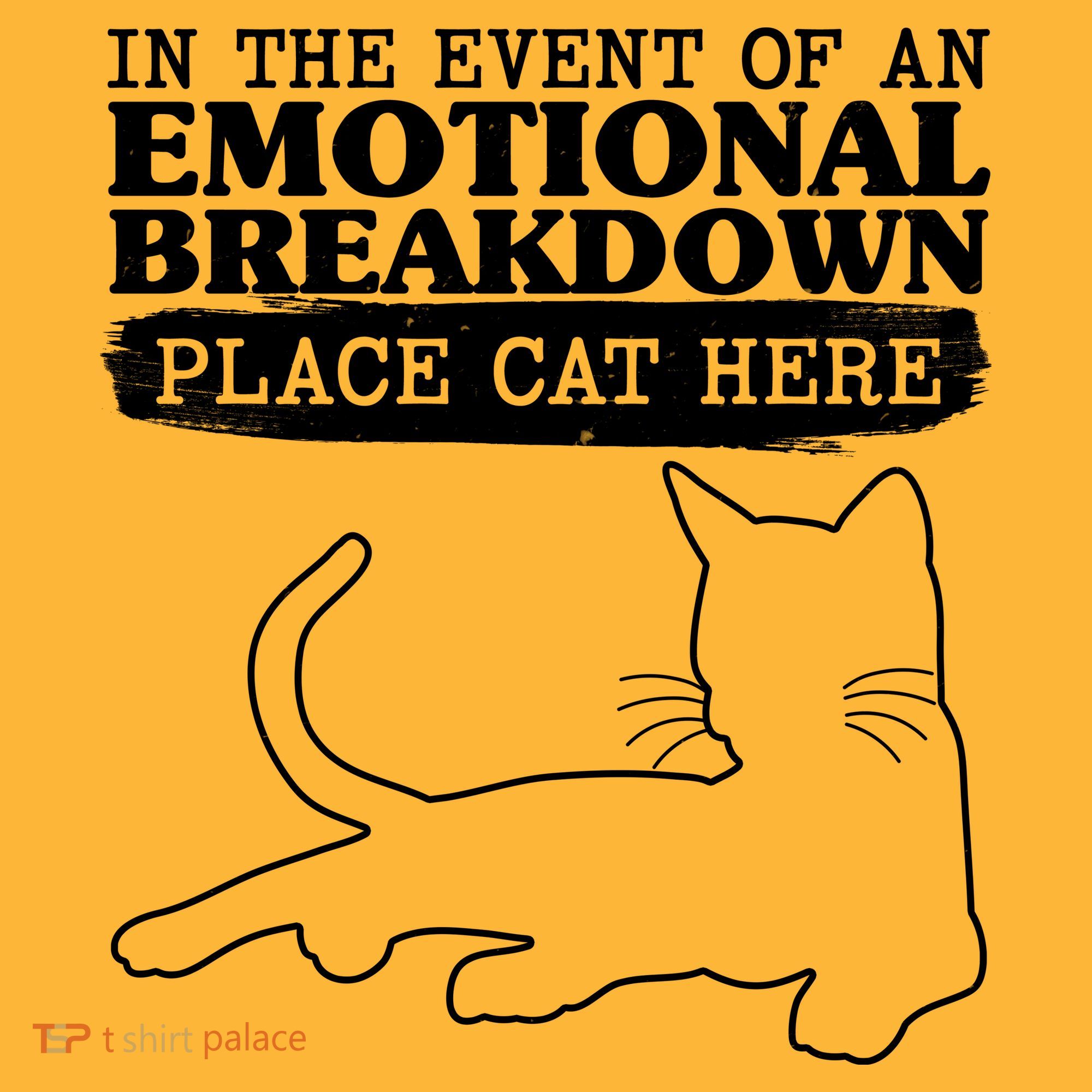 Funny In The Event Of An Emotional Breakdown Place Cat Here Hoodie