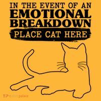Funny In The Event Of An Emotional Breakdown Place Cat Here Hat thumb 2