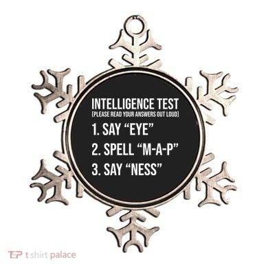 Funny Intelligence Test Ornament