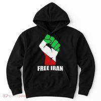 Free Iran Unity Fist Logo In A Pahlavi Flag Hoodie thumb 0