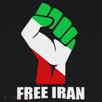 Free Iran Unity Fist Logo In A Pahlavi Flag Sweatshirt thumb 3