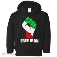Free Iran Unity Fist Logo In A Pahlavi Flag Toddler Hoodie thumb 0