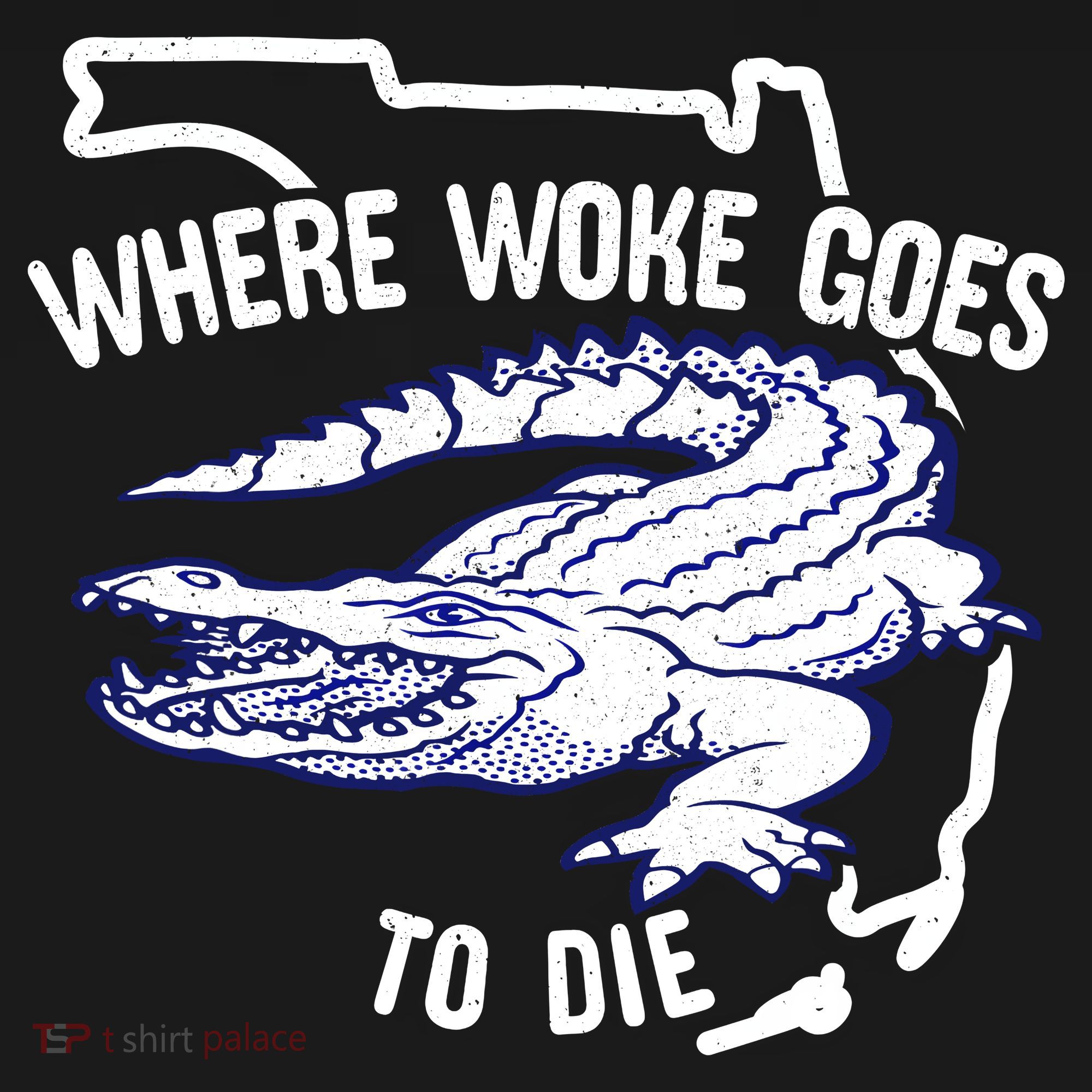 Florida Is Where Woke Goes To Die DeSantis Florida Funny Mousepad