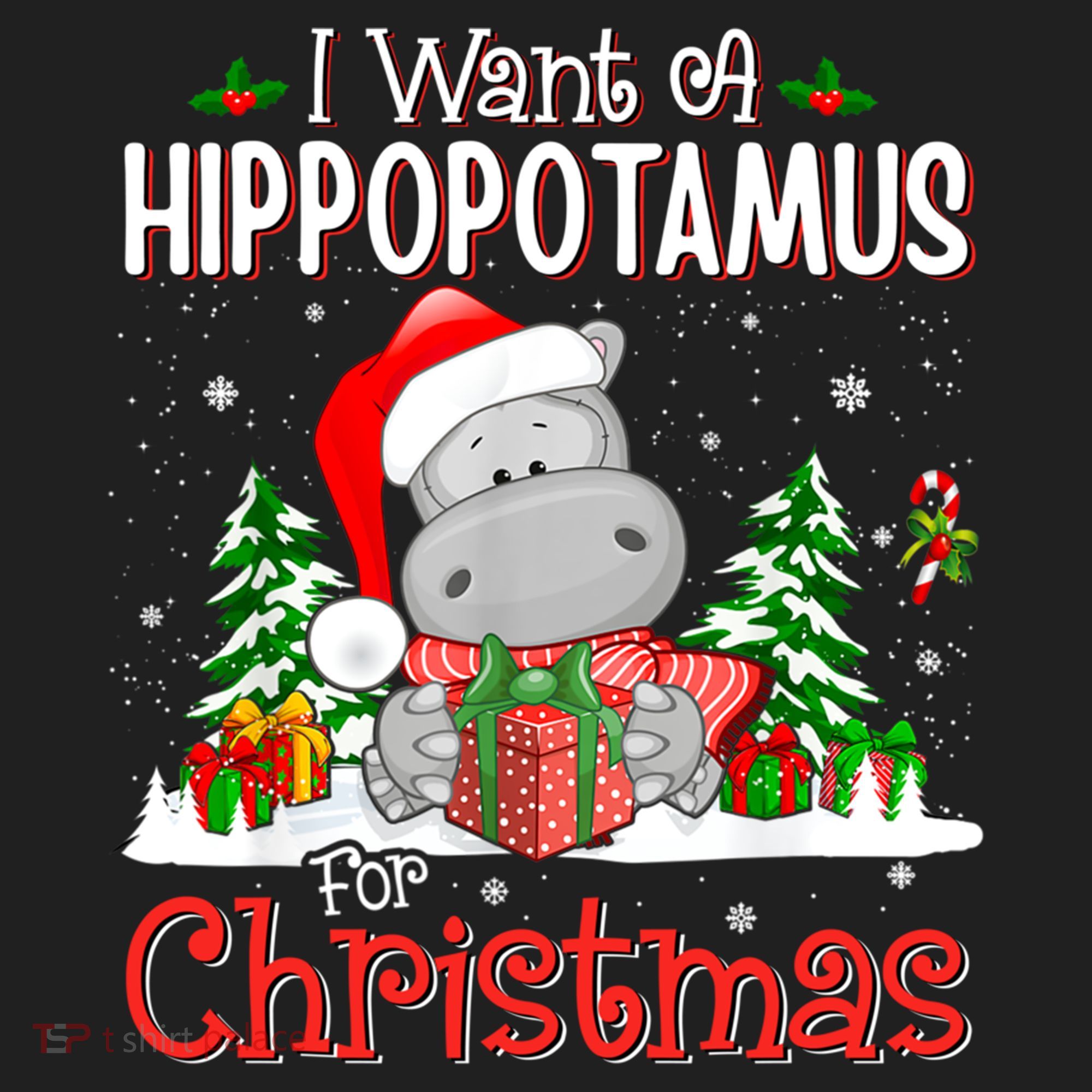 Funny I Want A Hippopotamus For Christmas Xmas Hippo Cool Gift Beanie