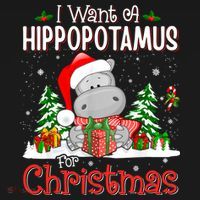Funny I Want A Hippopotamus For Christmas Xmas Hippo Cool Gift Women's Hoodie thumb 2