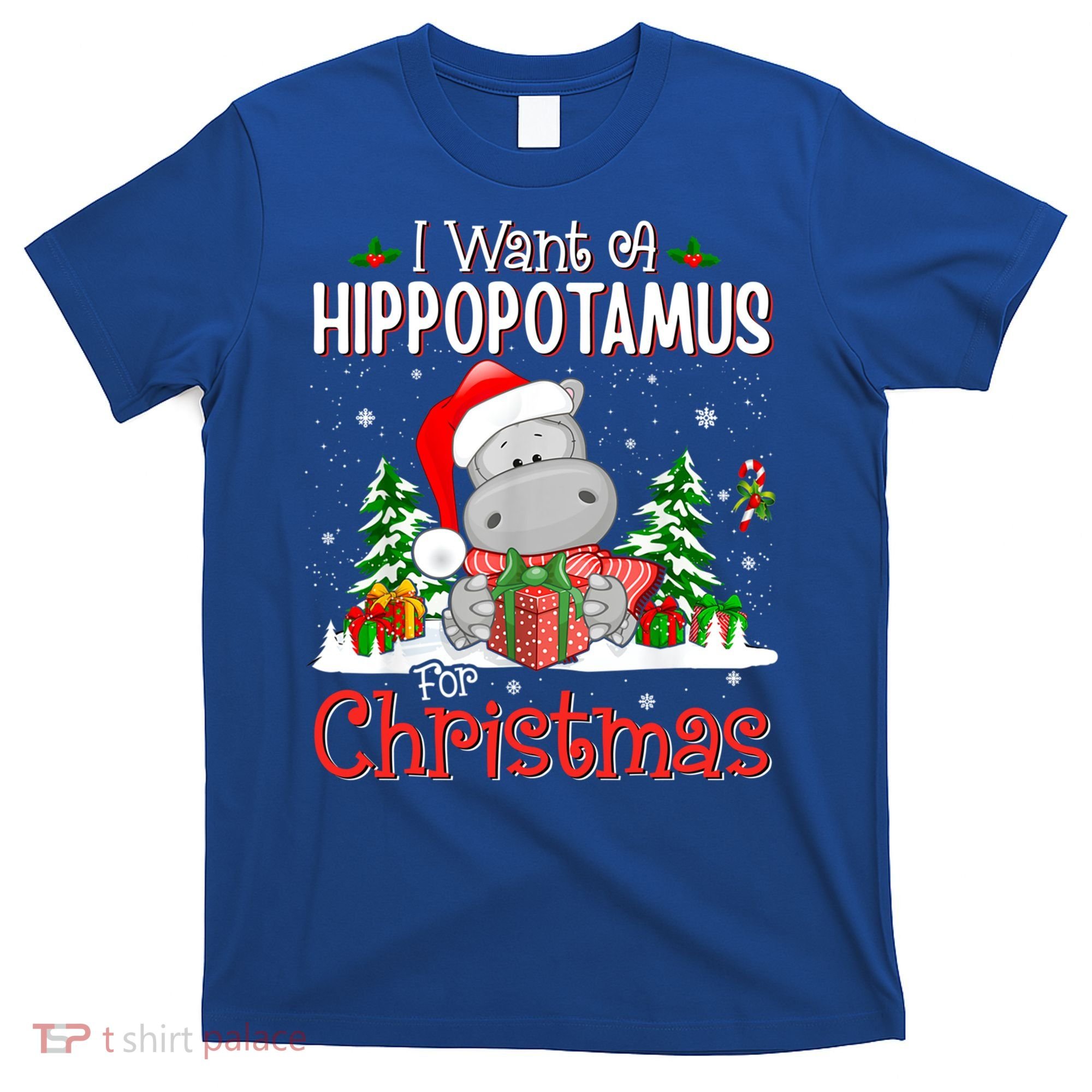 Funny I Want A Hippopotamus For Christmas Xmas Hippo Cool Gift T-Shirt