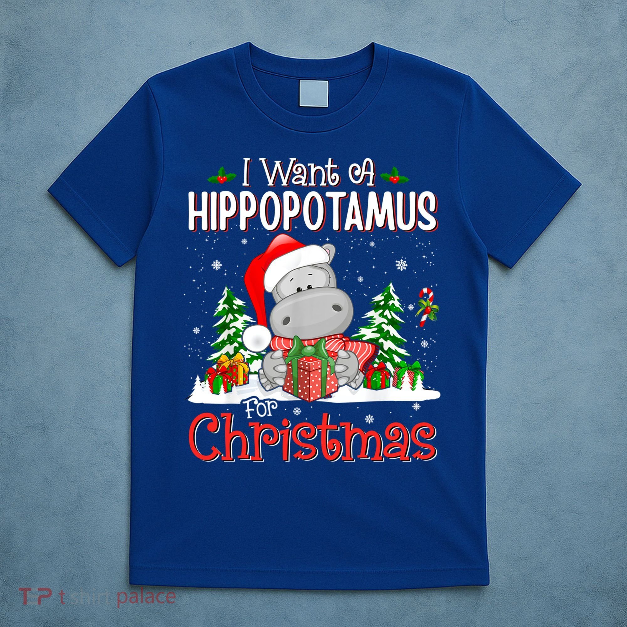 Funny I Want A Hippopotamus For Christmas Xmas Hippo Cool Gift T-Shirt