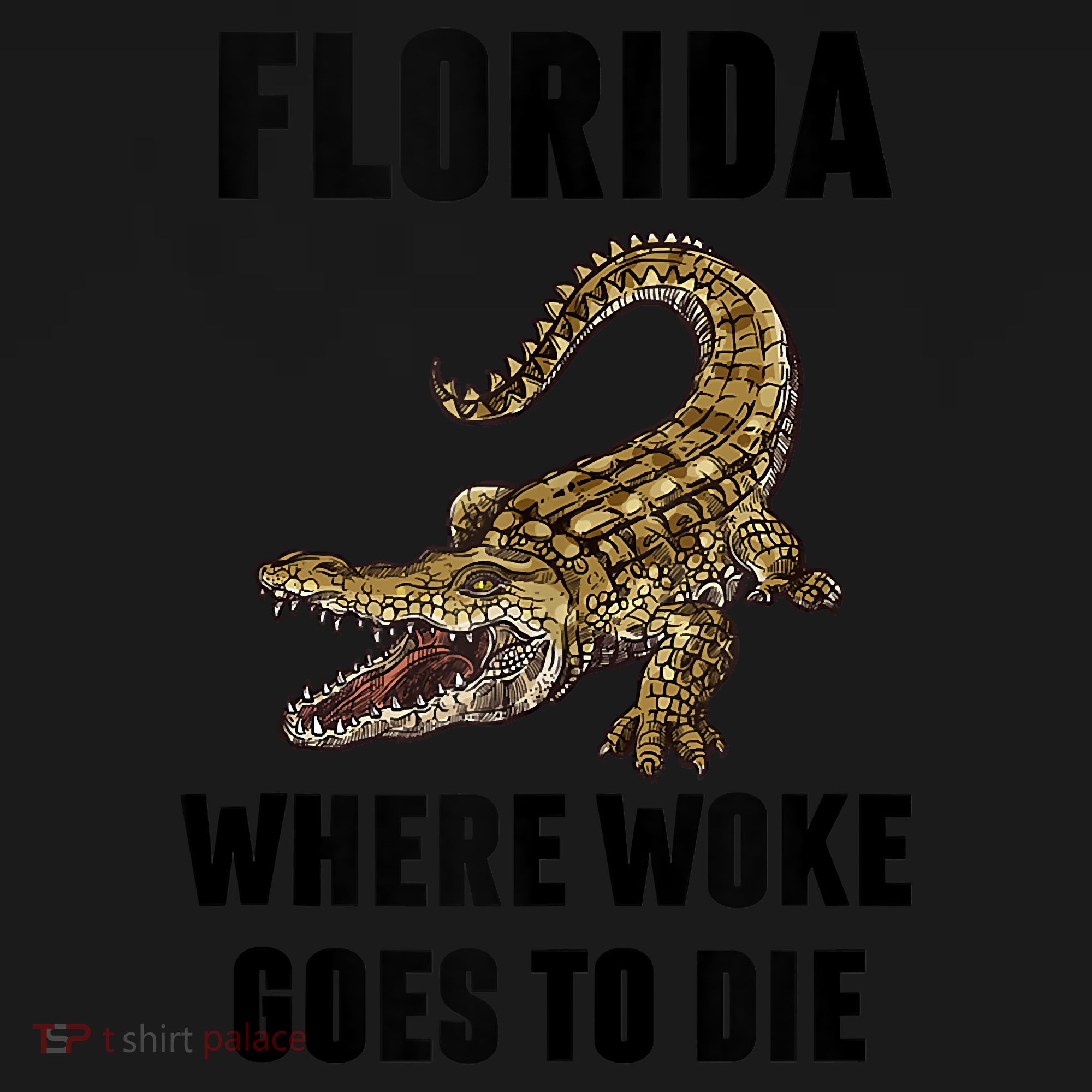 Florida Is Where Woke Goes To Die Funny Shirt Coaster