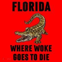 Florida Is Where Woke Goes To Die Funny Shirt Santa Hat thumb 1
