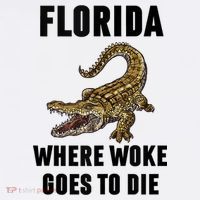 Florida Is Where Woke Goes To Die Funny Shirt Bucket Hat thumb 4