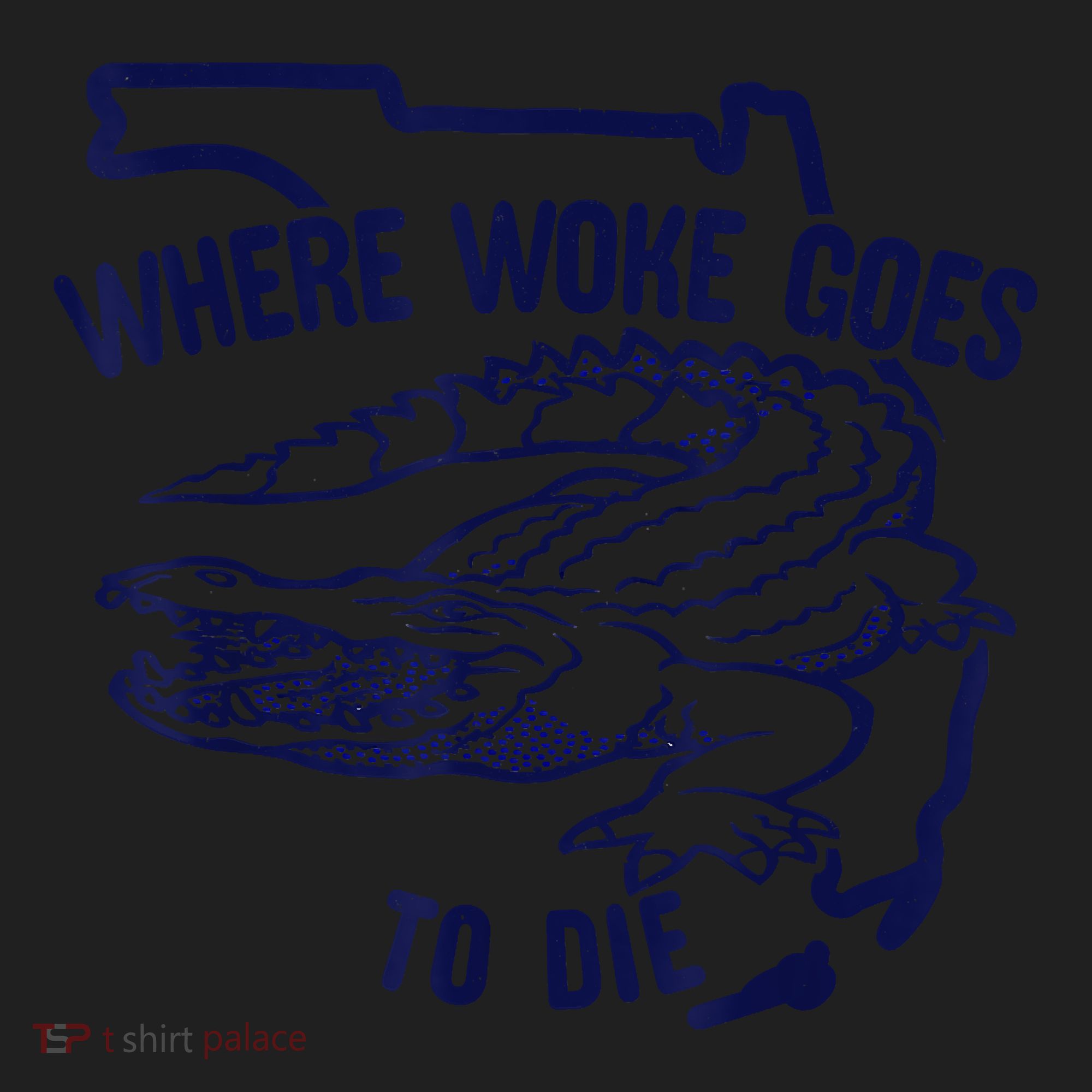 Florida Is Where Woke Goes To Die DeSantis Florida Funny Golf Towel