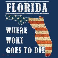 Florida Is Where Woke Goes To Die DeSantis Florida USA Flag Women's Hoodie thumb 2