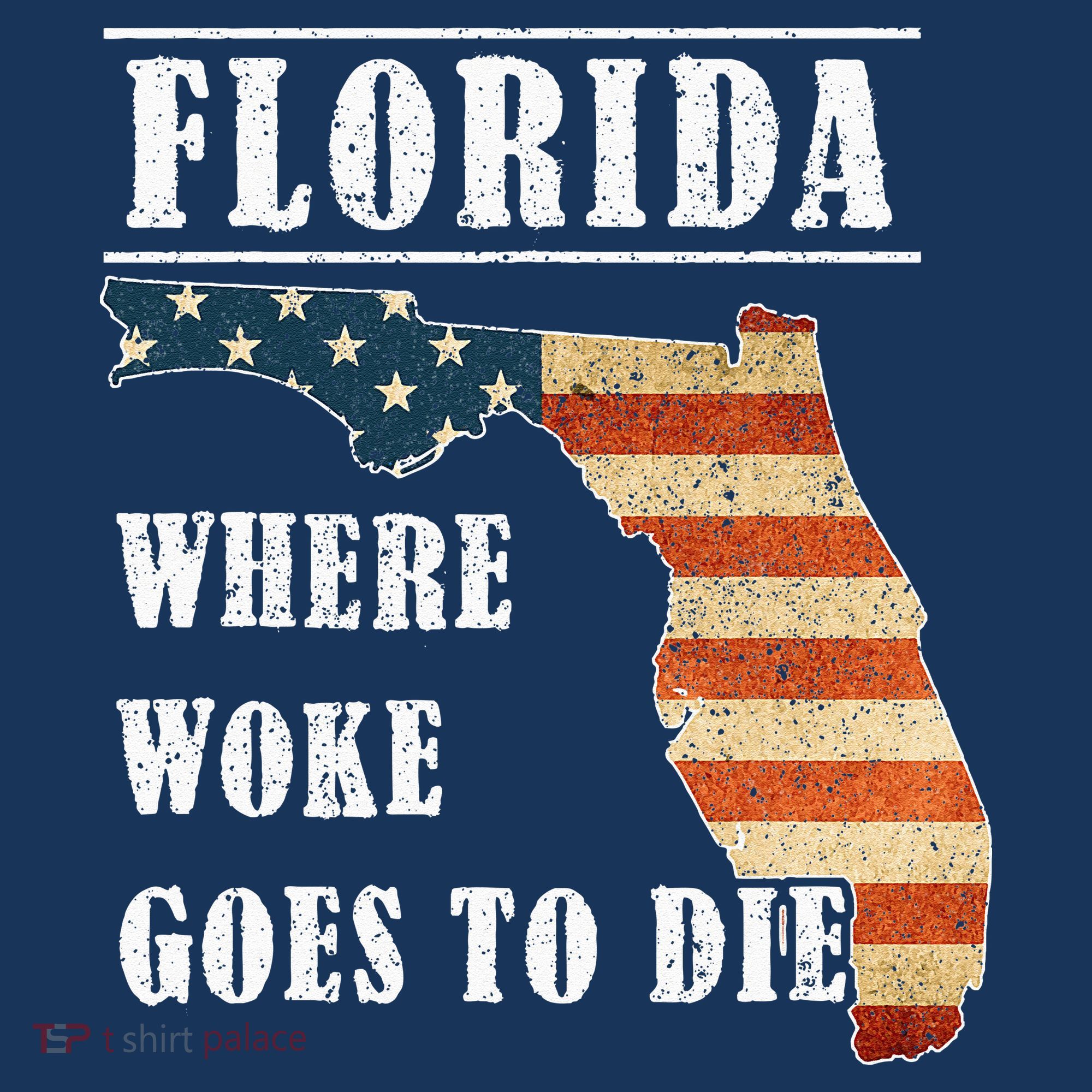 Florida Is Where Woke Goes To Die DeSantis Florida USA Flag Women's Tank Top